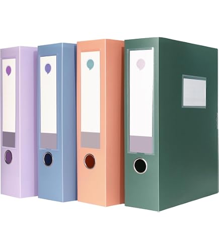 Amazon.com: Leitz Premium archive box with flap, 10 pieces, 100